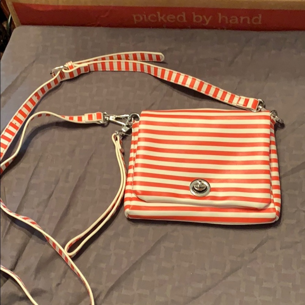 Charming Charlie Purse.